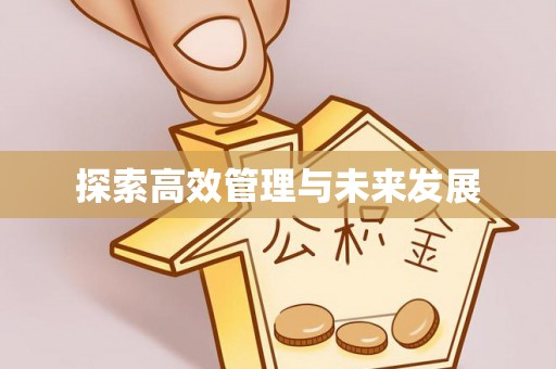 依兰探索高效管理与未来发展