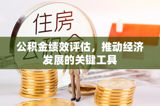 大关公积金绩效评估，推动经济发展的关键工具