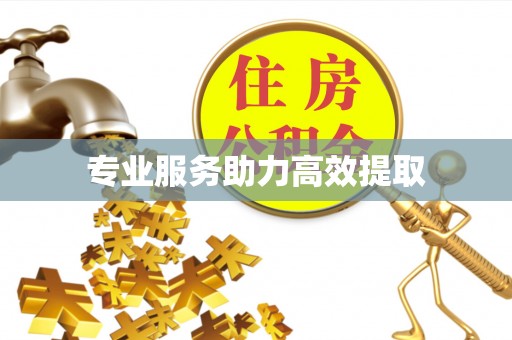 屯留专业服务助力高效提取